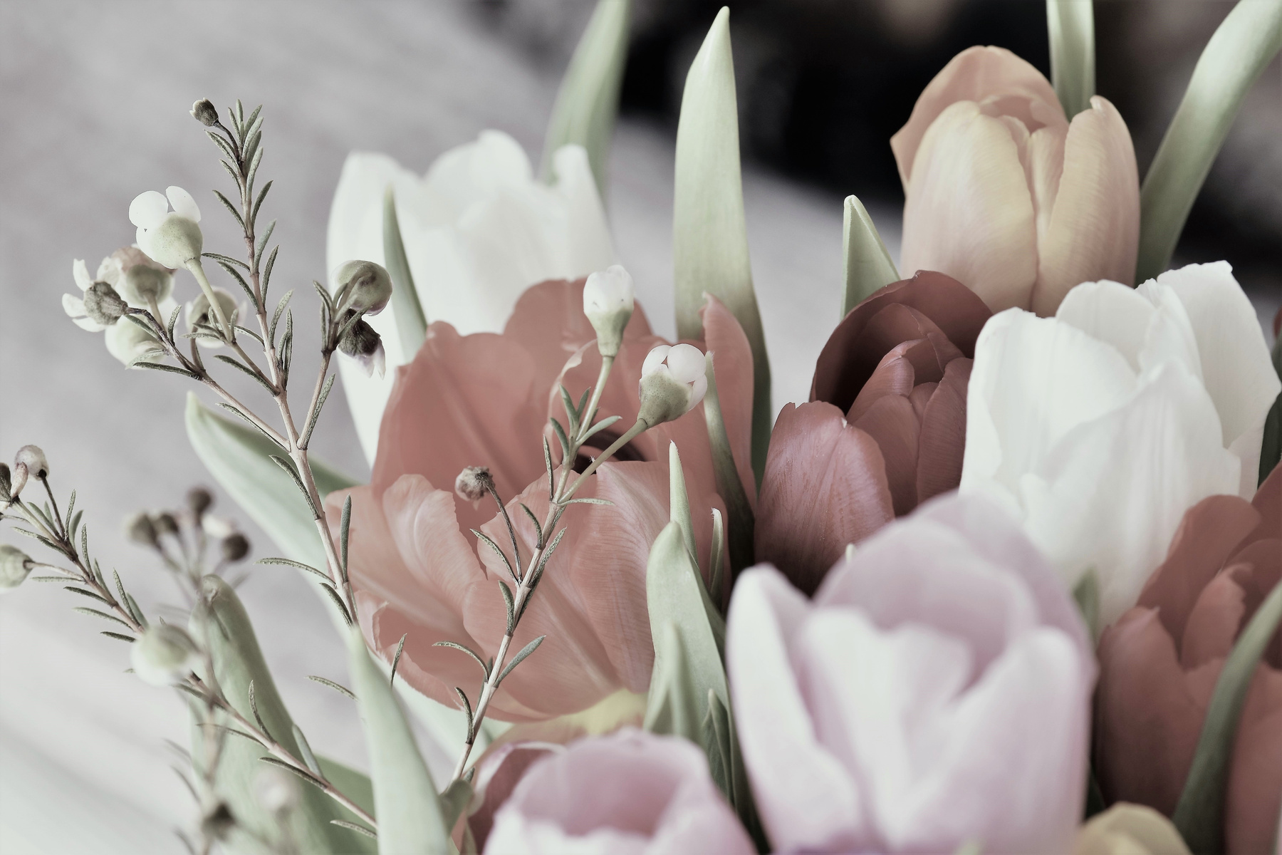 A Bouquet of Flowers